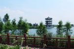 东莞华阳湖湿地公园