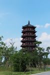 东莞华阳湖湿地公园