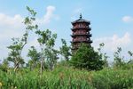 华阳湖湿地公园