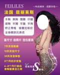 翡丽莱斯