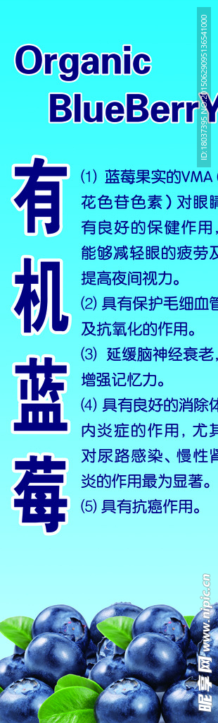 有机蓝莓