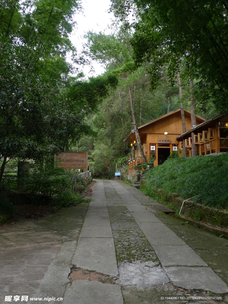 福建 武夷山