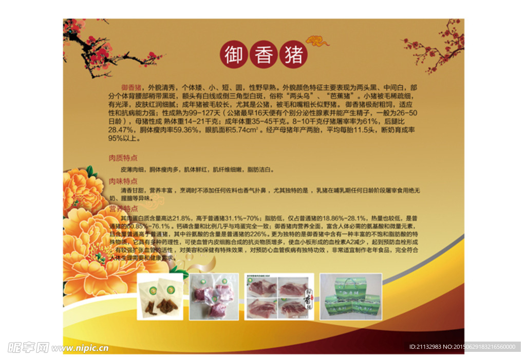 御香猪背景图