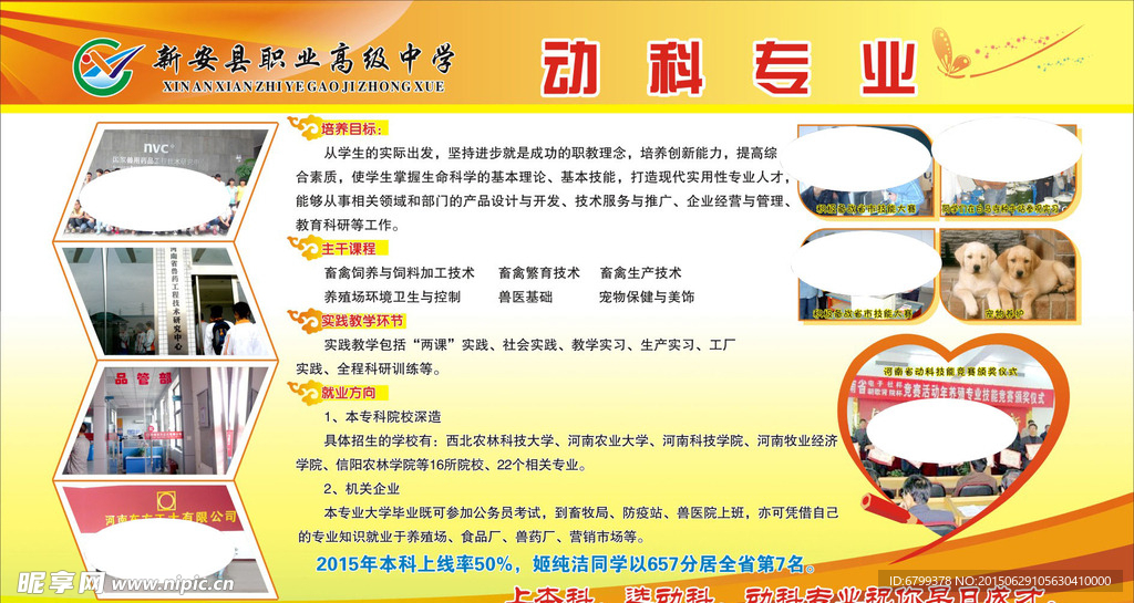 动科专业