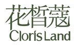 花皙蔻标志