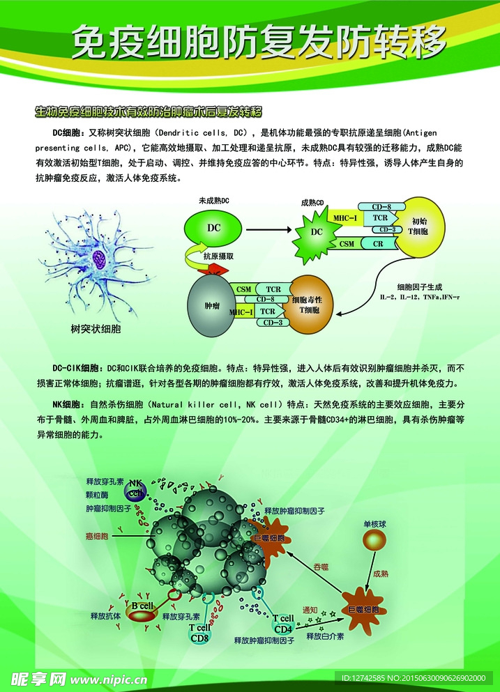 细胞防御图 医疗展板