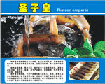 圣子皇海鲜