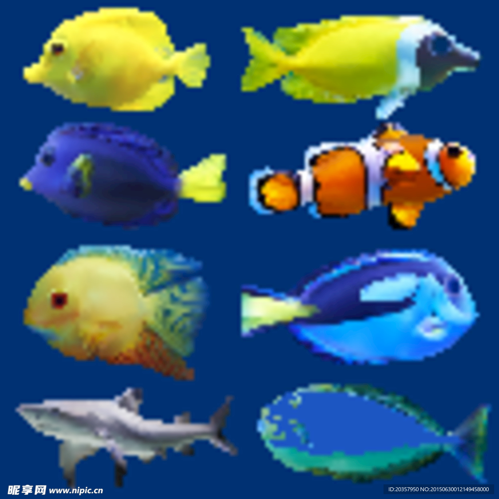 逼真海洋鱼类素材