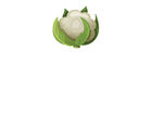 卡通花菜