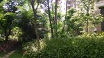 小区园林