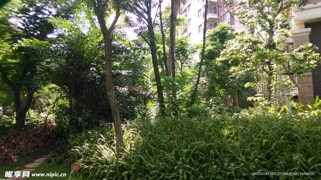 小区园林