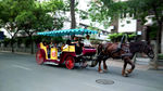 现代观光马车