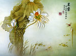 荷花（未分层）