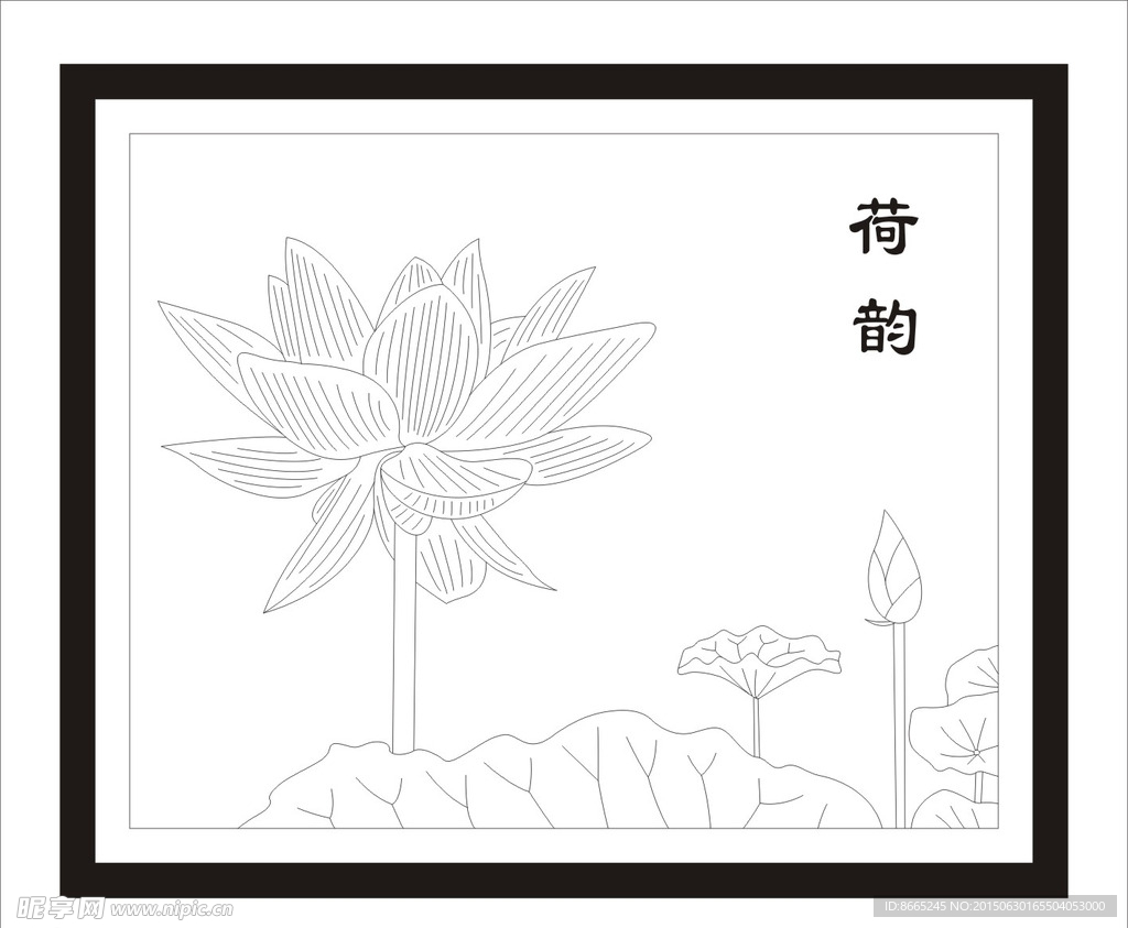 荷花