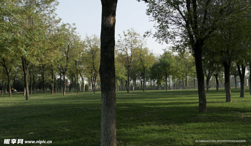 园林风景大明宫