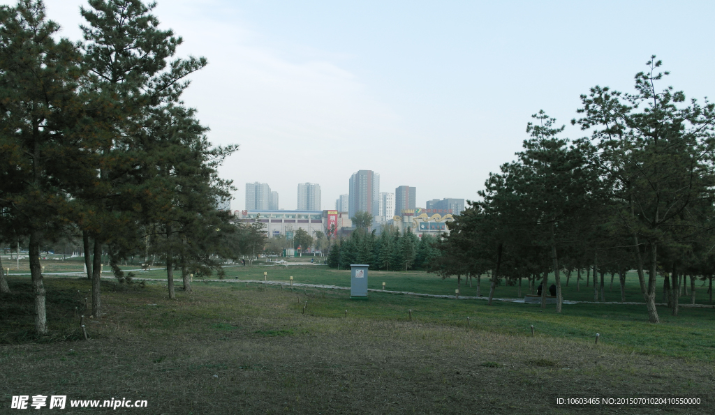 大明宫 园林景观