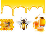 蜂蜜与蜜蜂设计