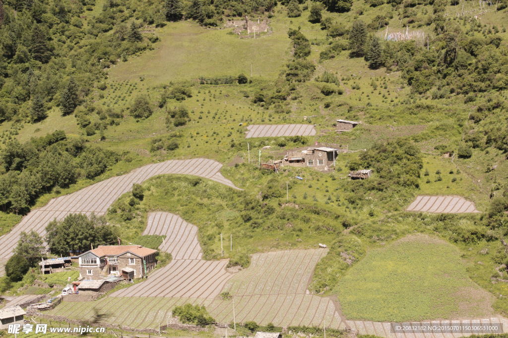 田野人家