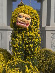 狮子花艺