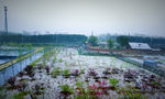 四月的雪