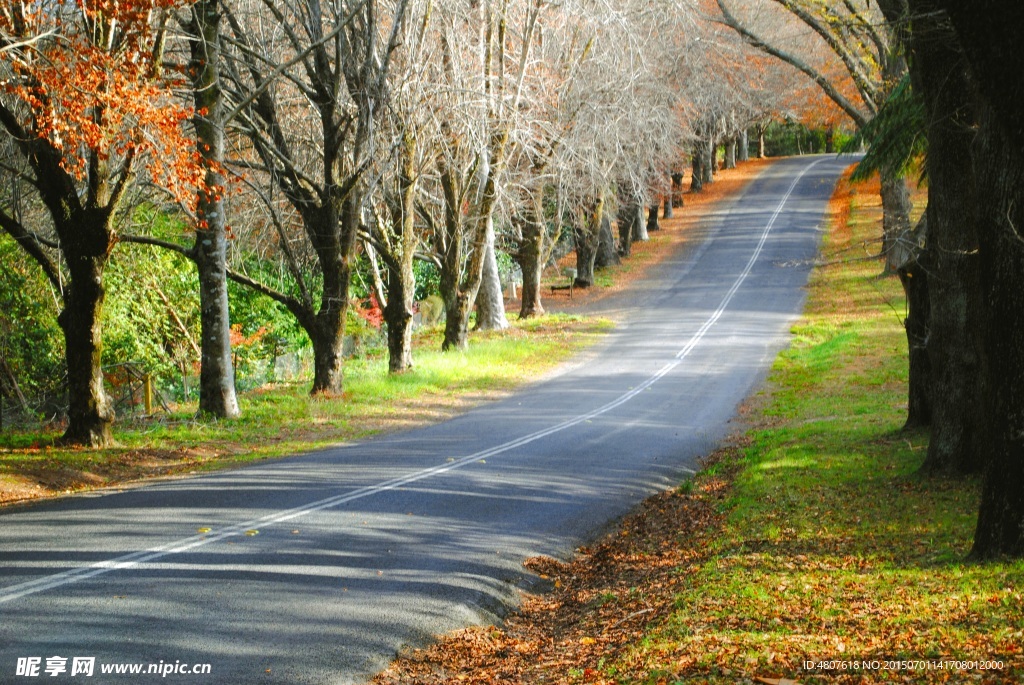 林荫公路