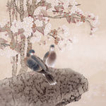 鸽子与花