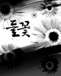 花纹