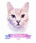 水彩猫咪头像