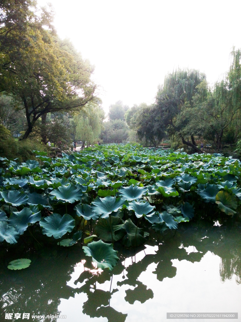 园林风景