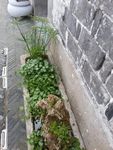 墙角