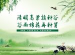 清明 海报 杂志报广