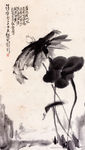 荷花图