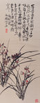 兰花图