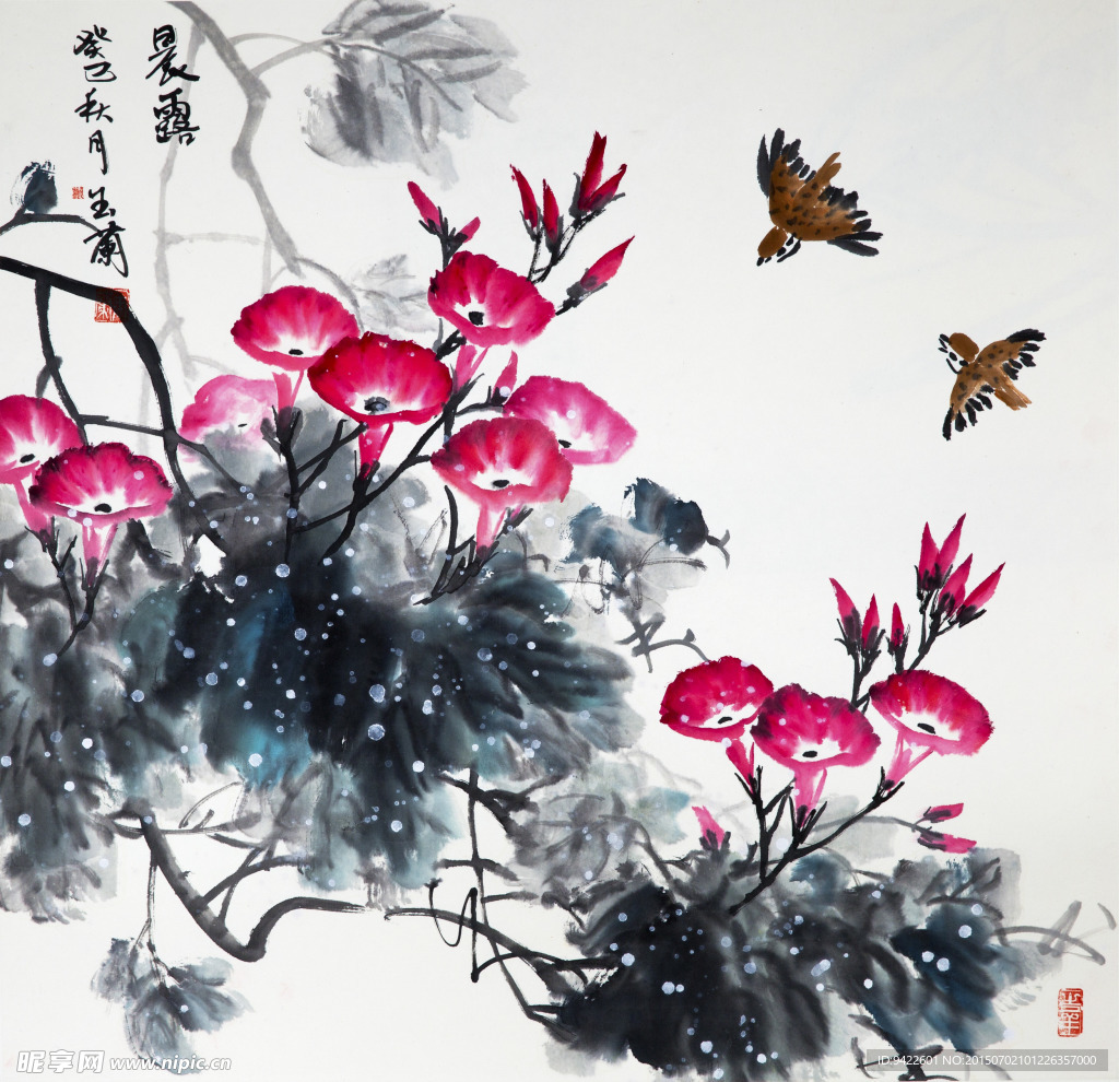 喇叭花图