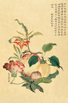 花卉图