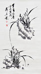 兰花图