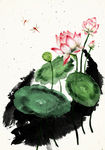 荷花图