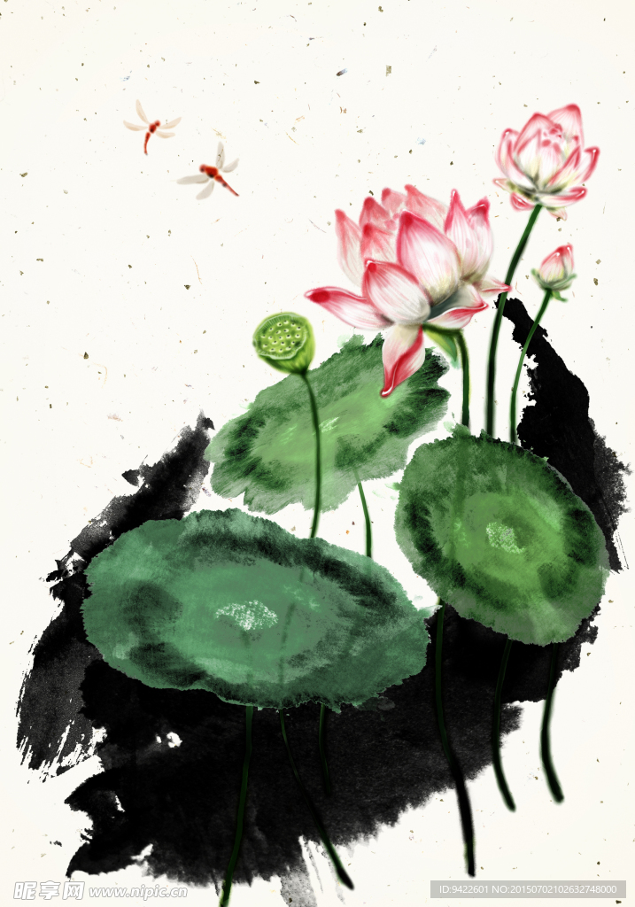 荷花图