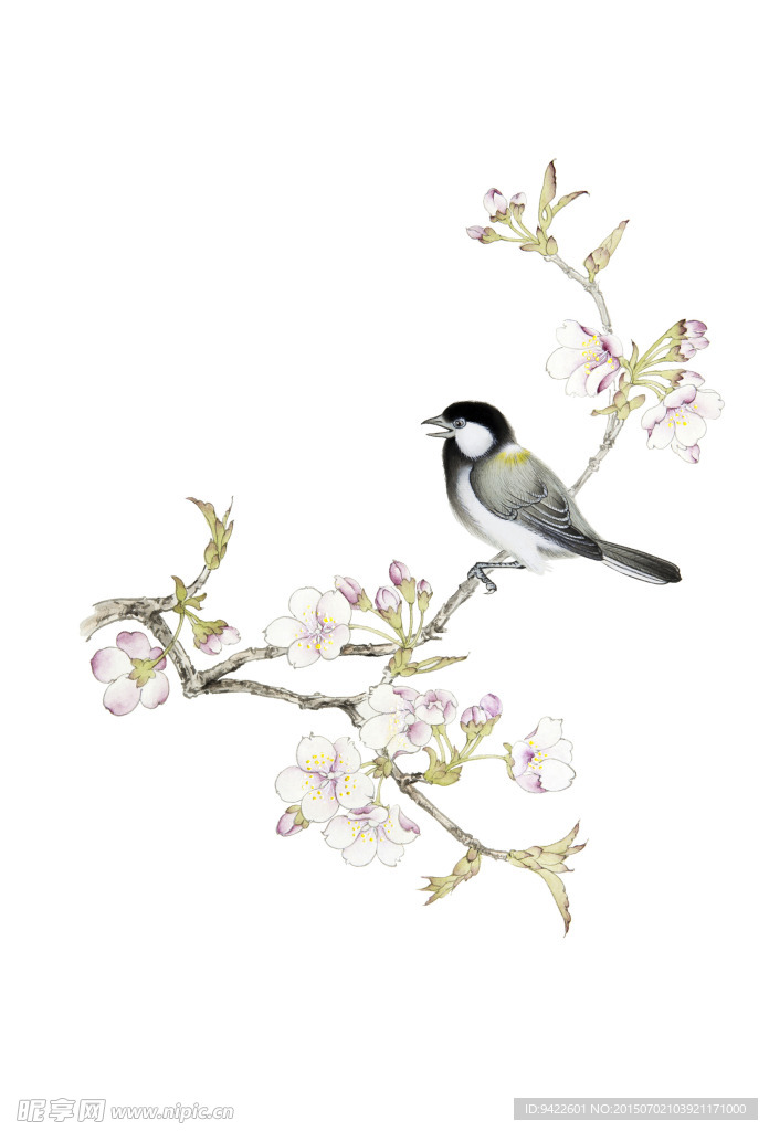 花鸟图