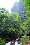 张家界国家森林公园