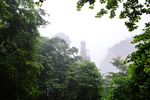 张家界国家森林公园