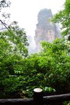 张家界国家森林公园