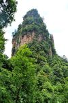 张家界国家森林公园