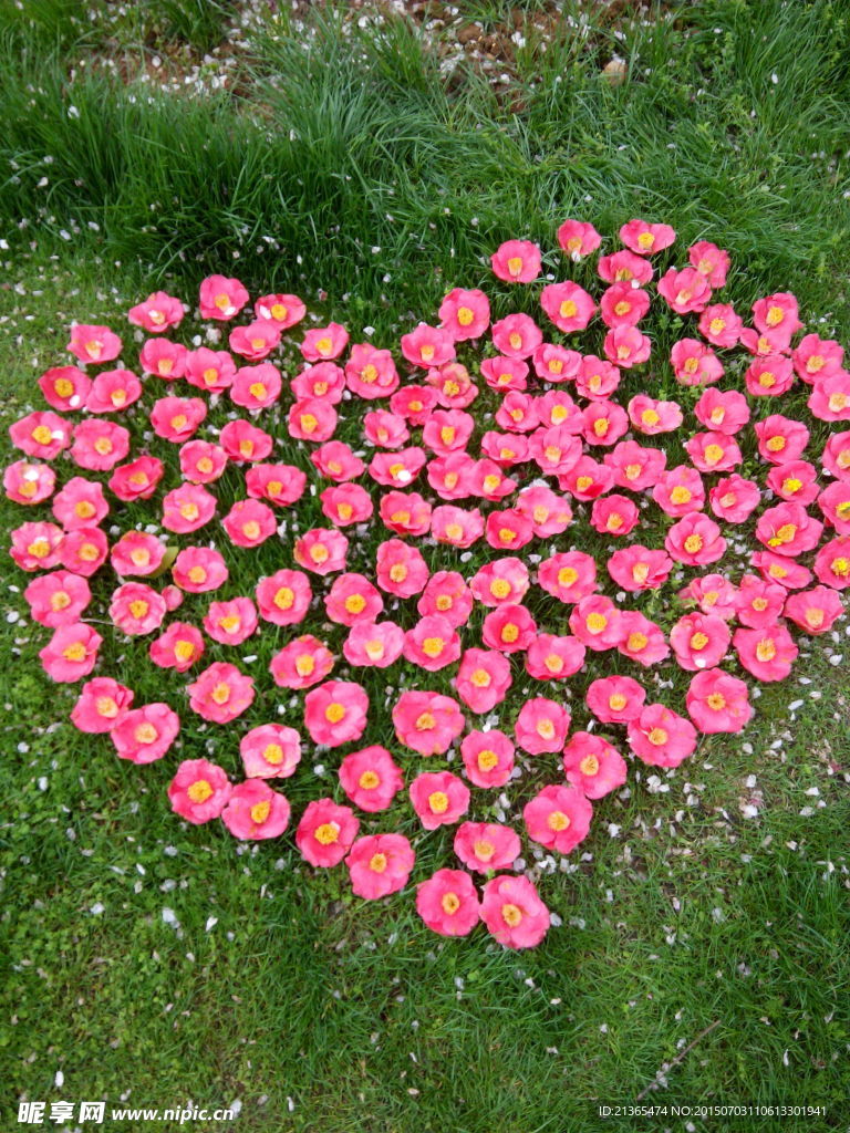 红色花