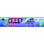 正大方盛