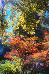 天平山