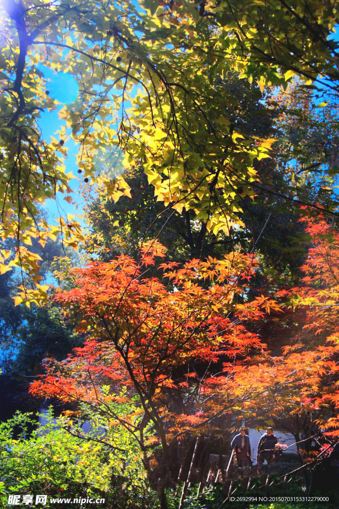天平山