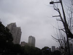 上海街景