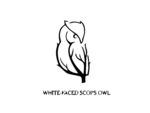 猫头鹰logo