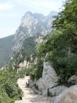 嵩岳风景
